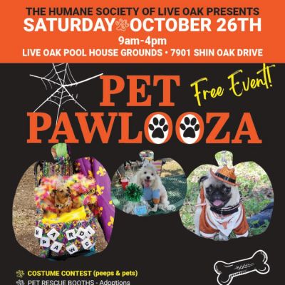 Pet Pawlooza